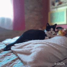 a black and white cat is laying on a white blanket on a bed in a room