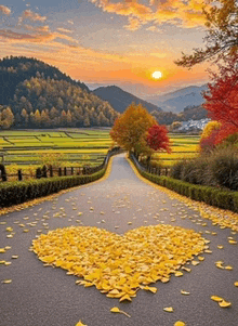 a heart made of leaves on the side of the road