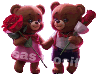 a boy and a girl teddy bear holding hands with sas on it