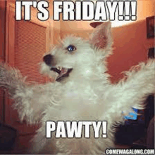 a white dog with its arms outstretched and a caption that says `` it 's friday ! pawty ! ''