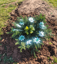 a grave with a green bow and white flowers