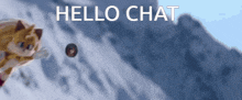 a picture of a cat flying through the air with the words hello chat above it