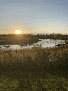 the sun is setting over a body of water in the middle of a field