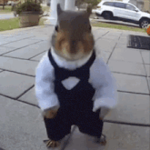 a squirrel wearing a tuxedo and bow tie is standing on a sidewalk
