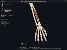 a screen showing a skeleton with the words motion mode at the top of it