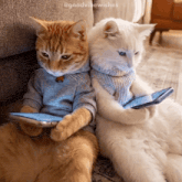 two cats wearing scarves and sweaters are sitting next to each other looking at their phones