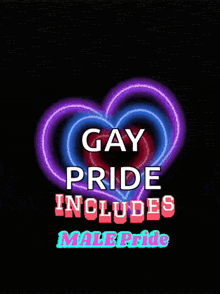 a poster that says gay pride includes male pride on it