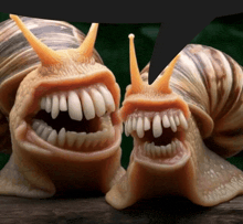 two snails with their mouths open and teeth showing