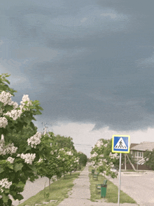 a street with a crosswalk sign and a cloudy sky