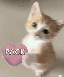 a kitten is holding a pink heart that says pack on it