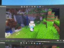 a computer screen shows a screenshot of a minecraft video game