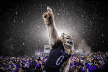 a mascot wearing a wildcats jersey with the number 0 on it