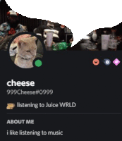 a picture of a cat in a circle with the name cheese