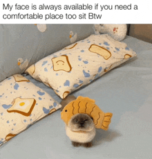 a cat wearing a fish hat is sitting on a bed next to pillows