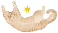a cat laying on its back with its paws up and a yellow star in the background