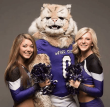 two cheerleaders are standing next to a mascot wearing a purple jersey .