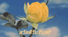 a yellow rose with a blue sky in the background and the words สวัสดี วัน จันทร์ in yellow