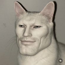 a drawing of a cat with a man 's face and beard