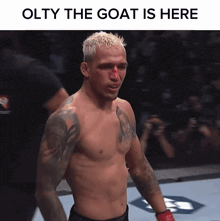 a picture of a fighter with a bloody nose and the words " olty the goat is here "