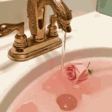 a sink filled with pink liquid and a rose in it