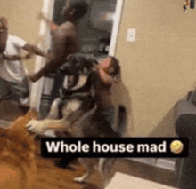 a group of people are fighting in a living room with a dog in the foreground .