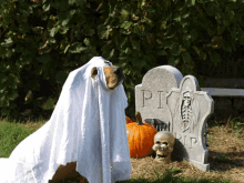 a dog in a ghost costume sitting next to a tombstone that says rip