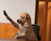 a dog is sitting at a table with its paw in the air