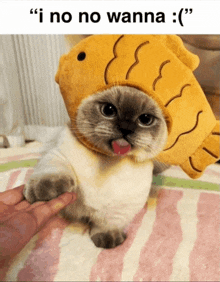 a cat wearing a fish hat with the caption " i no no wanna : "