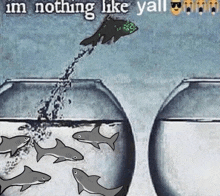 a shark is jumping out of a bowl of water with the words " im nothing like yall "