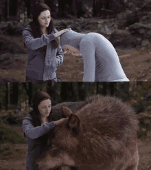 a woman petting a bear in the woods while another woman looks on