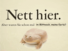 a picture of a frog with the text nett hier