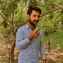 a man in a plaid shirt holds a green leaf