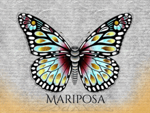 a colorful butterfly with the word mariposa on the bottom