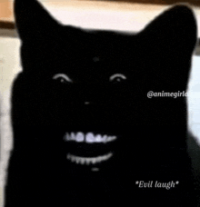 a black cat with white teeth is smiling and making an evil laugh .