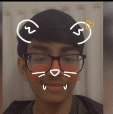 a young man wearing glasses with a cat face on his face