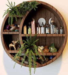 a wooden shelf with bottles , crystals , ferns , and a dog on it .