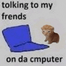 a kitten is standing next to a blue laptop with the words talking to my frends on da computer .