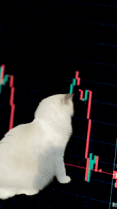 a cat is sitting in front of a stock chart that shows a decline in price
