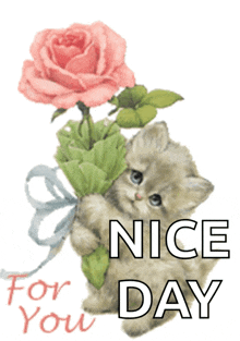 a picture of a kitten holding a pink rose with the words nice day for you below it