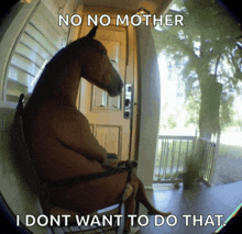 a horse is sitting in a rocking chair with the words no no mother i dont want to do that below it