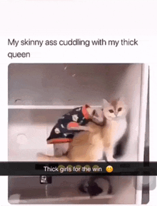 two cats hugging each other with the caption " my skinny ass cuddling with my thick queen thick girls for the win "