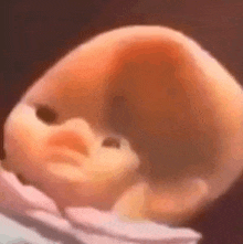 a close up of a baby 's head in a womb .