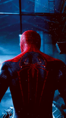 a close up of a spider man 's back with a spider logo on it