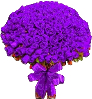 a bouquet of purple roses with a purple ribbon