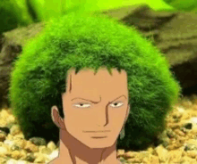 a man with a big green afro is standing in a rocky area .