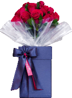 a bouquet of red roses in a blue box with a ribbon that says ' stefanina '