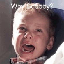 a child is crying with the words " why scooby " written above him