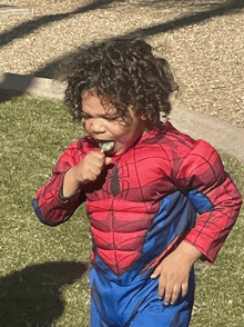 a young boy in a spiderman costume is eating a green leaf