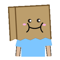 a person with a paper bag on their head with a smiley face drawn on it