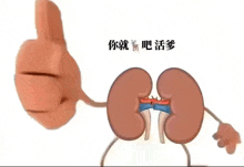 a cartoon of kidneys giving a thumbs up